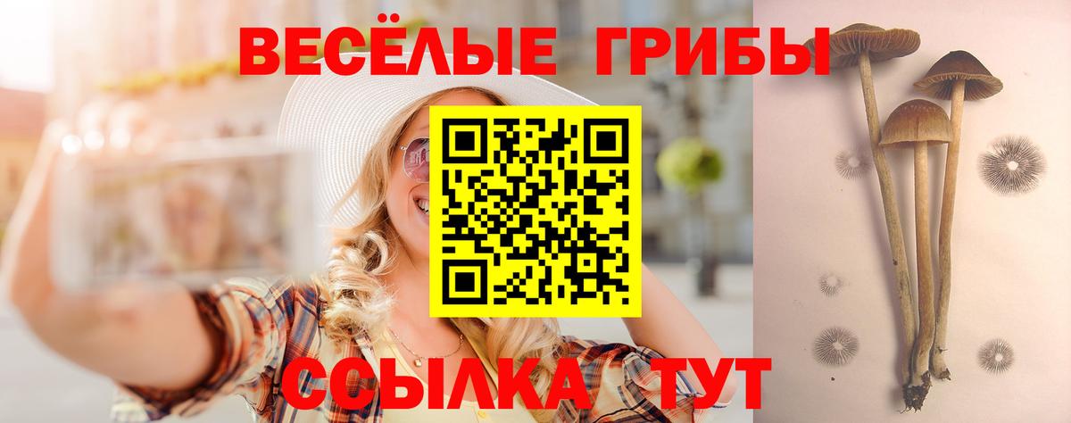 Электрогорск  Псилоцибиновые грибы Psilocybe  Псилоцибиновые грибы мухоморы  Вход с VPN 
